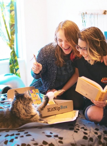 Monthly cat subscription box of cat toys, cat treats, and cat gifts | KitNipBox